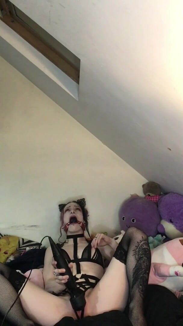 Rokkyhorrorx: 조용히 하려고 애쓰는 발정난 개그 키티