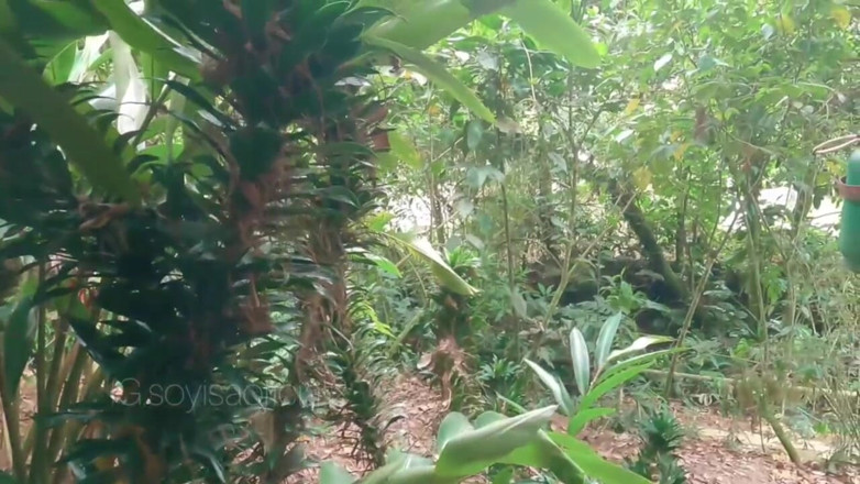 Isabel: 在户外洗澡和撒尿