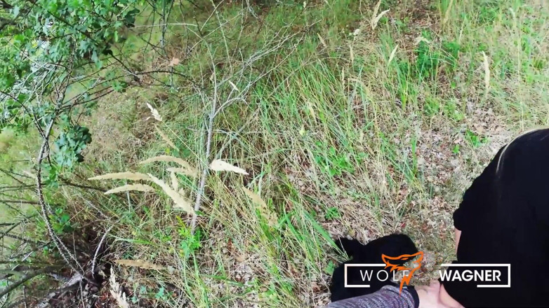 Wolf Wagner Com: Kevin white dan harleenvan hynten lagi asik ngentot liar di...