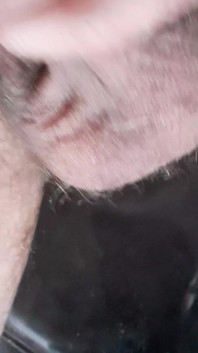 Mi sego il mio xl