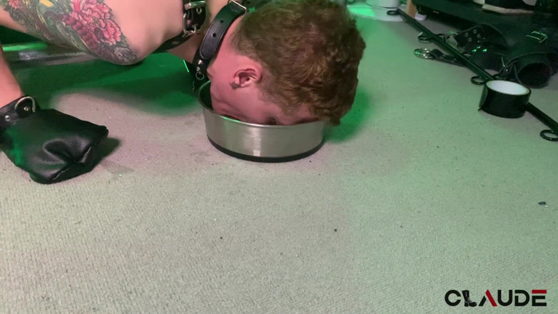 Claude Nikotine: Pup spielt pisse &amp;CBT