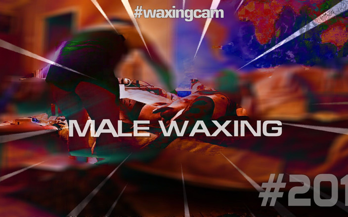 WaxingCam: Male Waxing