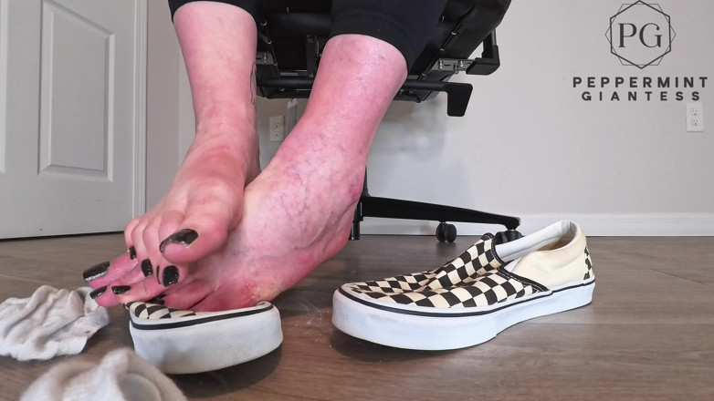 Peppermint Giantess: Sneaky Office Foot Provocação em Vans checkerboard - Tira apenas de...