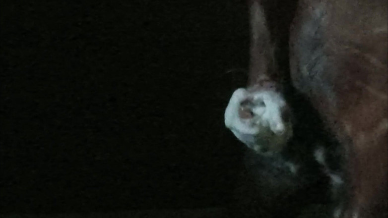 King_of_chut: Відбувається в темряві