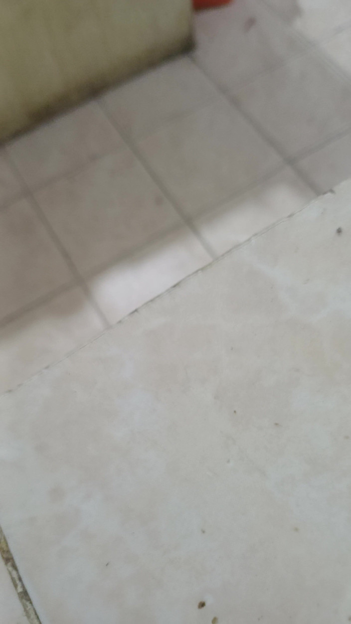 Eatrella j: Pieprzę przyrodnią siostrę w kuchni, moja macocha prawie nas odkrywa