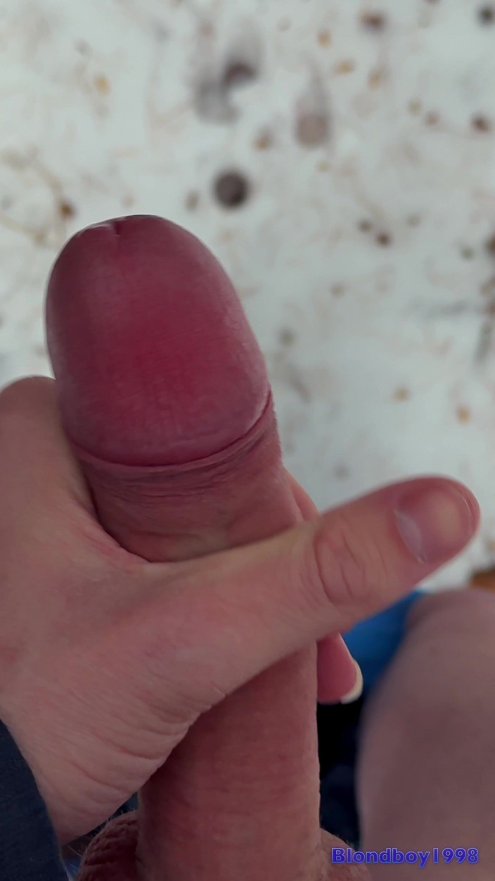 Horneyboy98: Handy POV - Twink Wixt Seinen Schwanz Im Wald - Im Winter