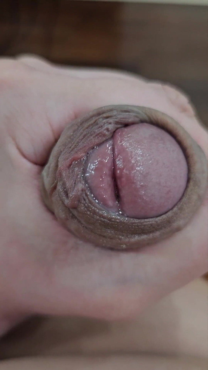 Lkdick8: Una polla mojada