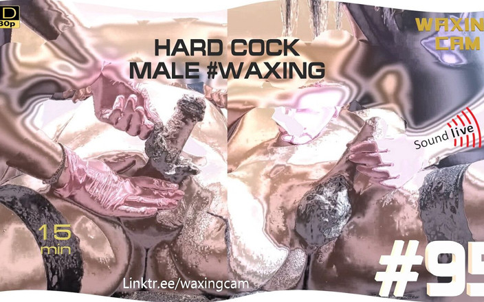 WaxingCam: #95 Мужское воском жесткого члена
