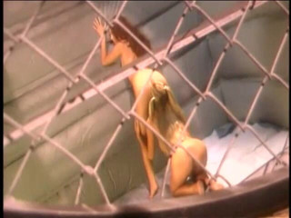Girl on Girl: Aksi hot lesbian dua lesbian yang saling muasin memek satu...