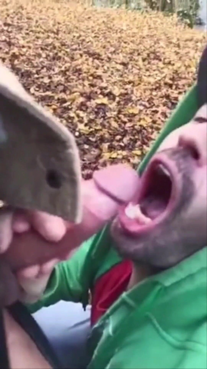 Justin hoodwar: Kompilasi Cumshot