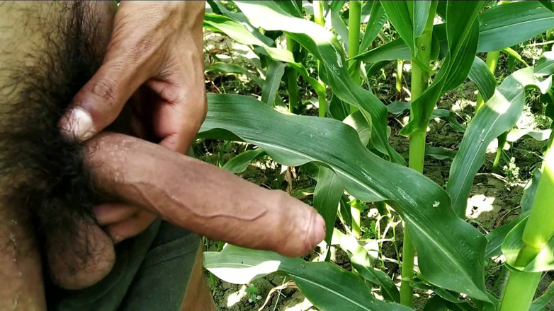Desimast7: Indian Big Cock Masturbation in Outdoor, Viral
