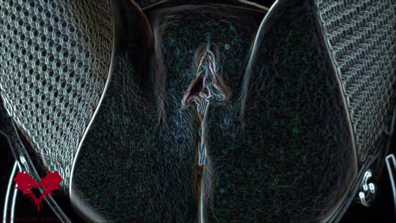 Close Up Extreme: Eş değiştiren Lilith. Edge Döviz Versiyonu.
