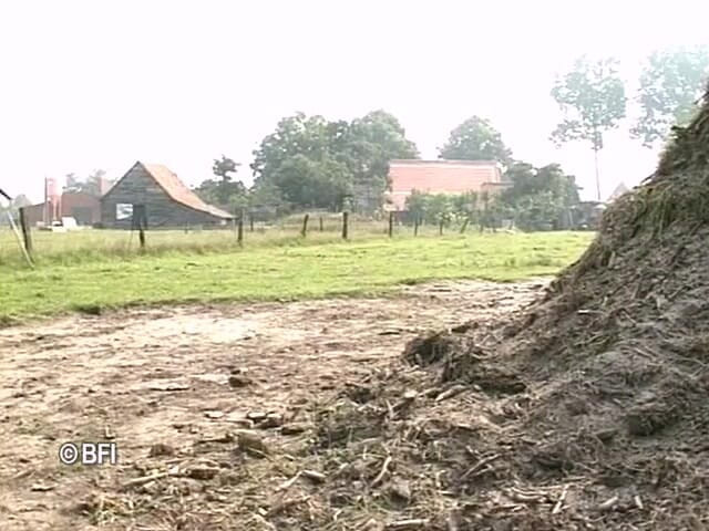 Naughty by nature in Holland: DVD Xkiss - polder секс