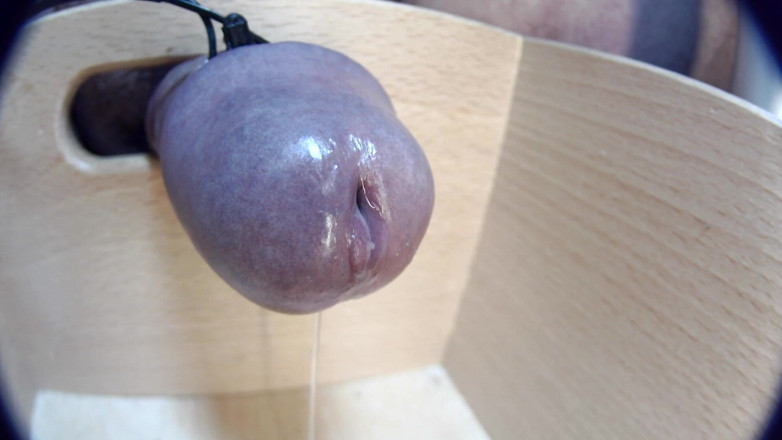 Gaylectrician: Close up - crot sperma 21-11-12