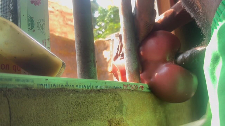 Bangcum8: Ma bite est très dure à ce que j’ai fait est...