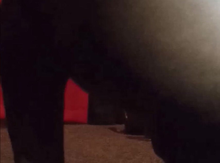 bott17: É uma sensação boa