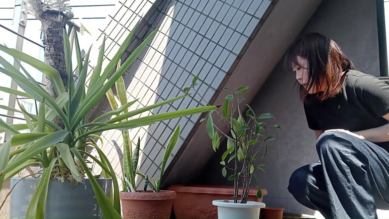 Mayumi Kanzaki: Čůrání do květináče