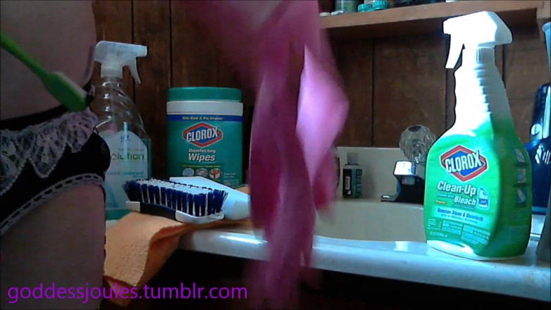 goddessjoules: Cleaning Bitch 101
