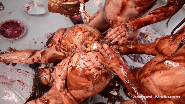Anatomik Media: Messy Girls: Pie Whores