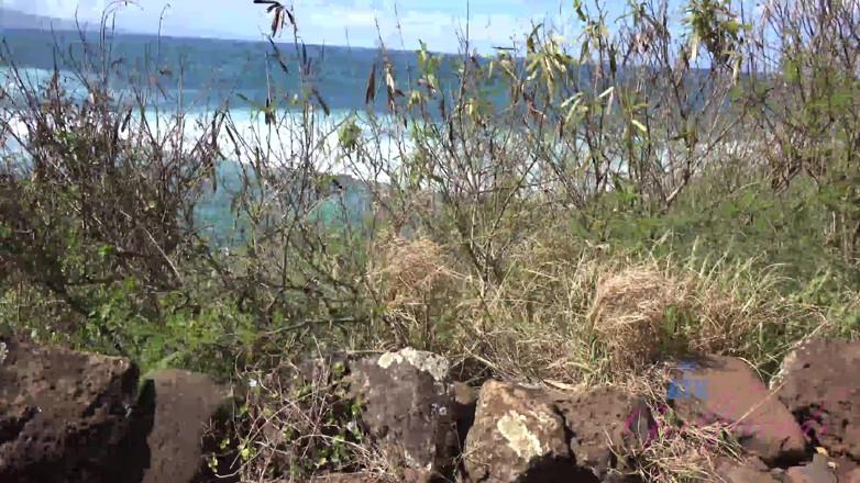 ATK Fans (Girlfriends): Liburan virtual di hawaii sama audrey royal bagian 5
