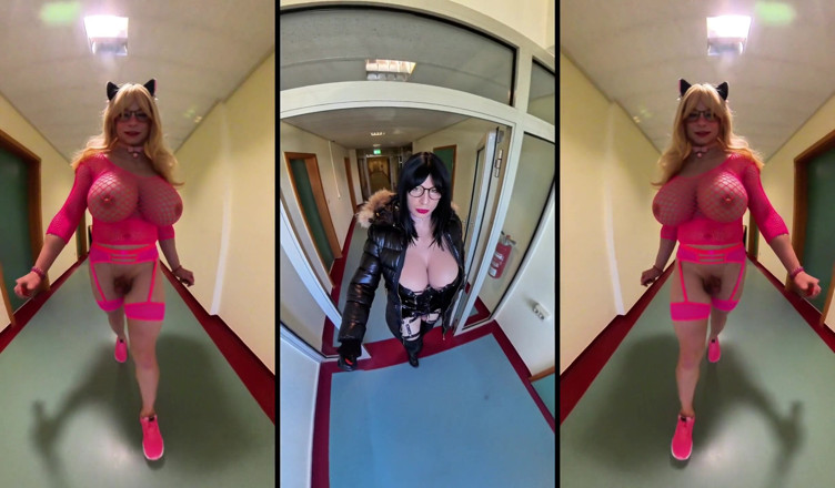 Sissy Adventures: Tussi, sissy und göttin