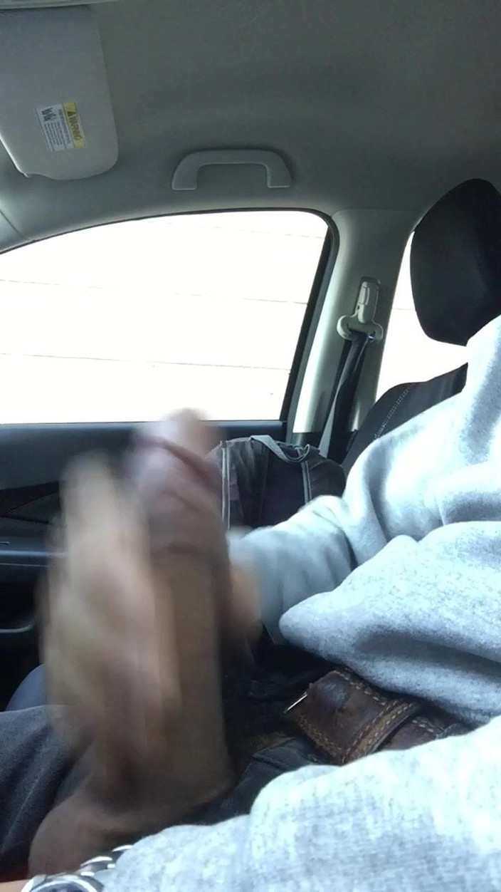 Capitanpuppy: Arabama boşal