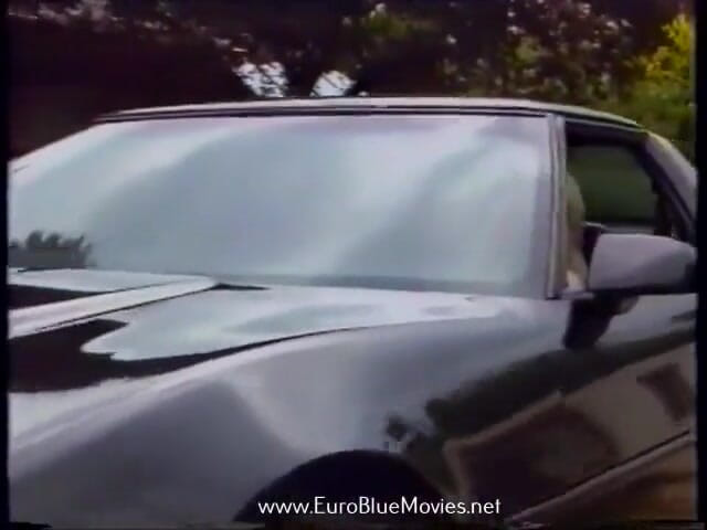 Euro Blue Movies: Fiesta de sexo Aan Zee (1993)