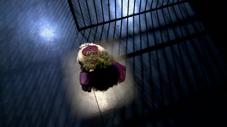 Superhero: La gattina aiuta joker a scappare dalla prigionia e gli...