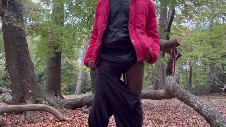 MrMagicDevil: Solo oscillare, tremare e strofinarlo nel bosco