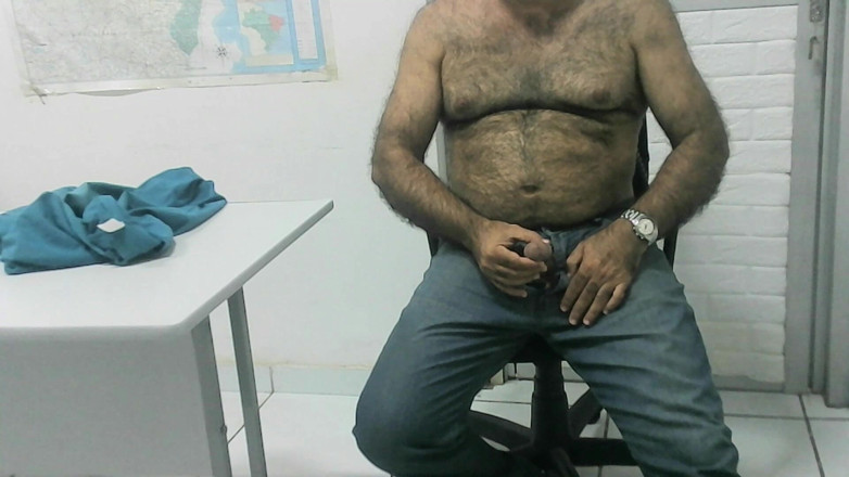 Ursinho: İş yerinde eğleniyor