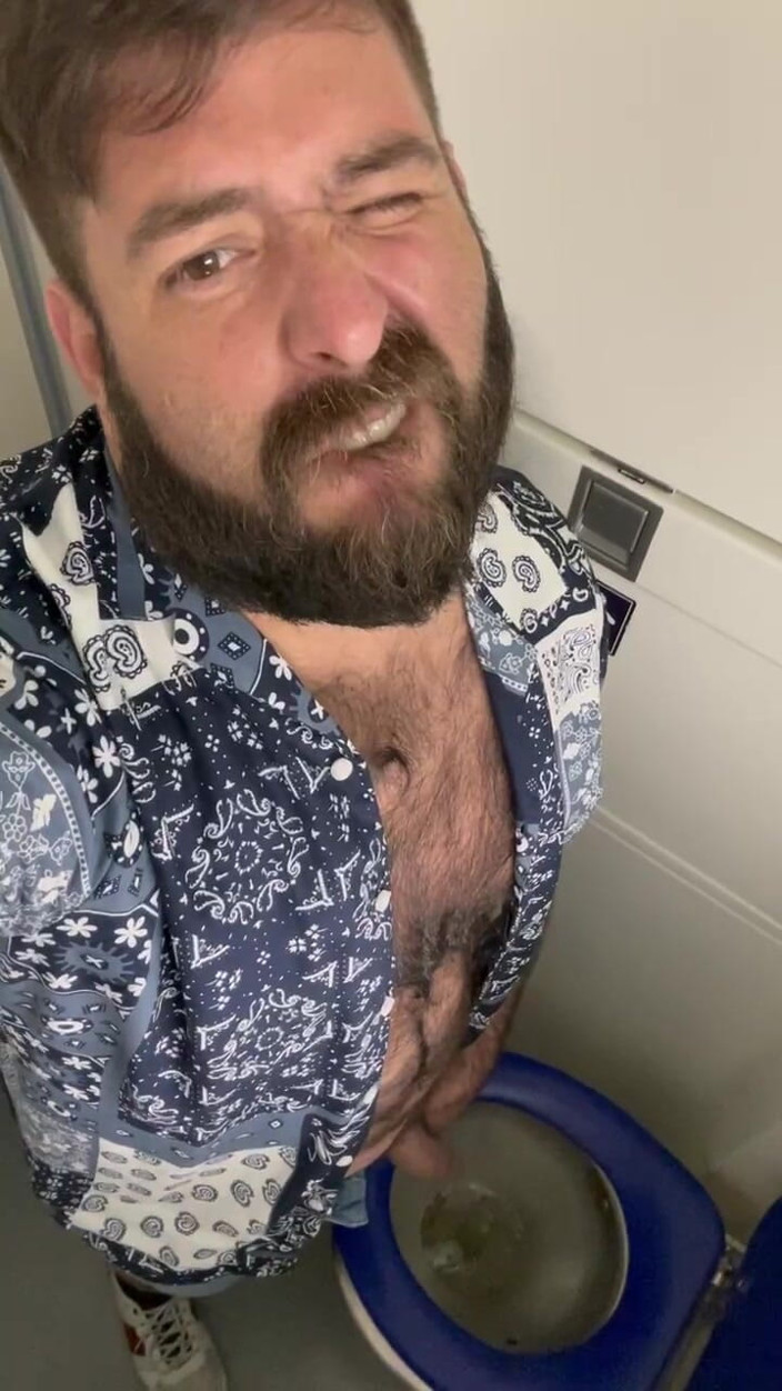 eljodedor31: Branlette dans les toilettes du train