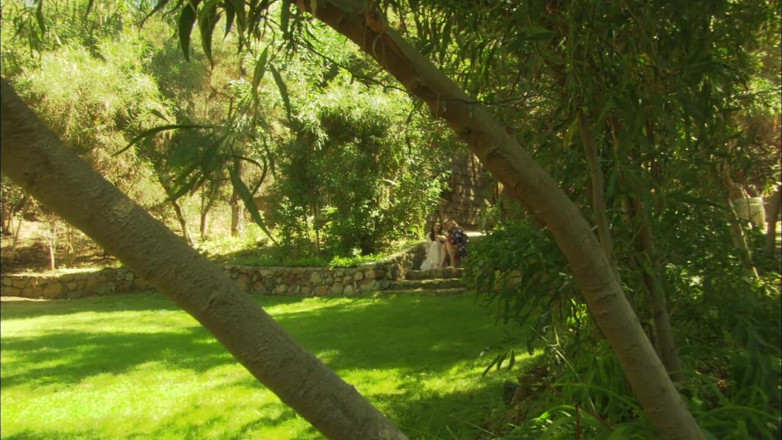 Art XXX: Histoire d'amour dans la jungle...
