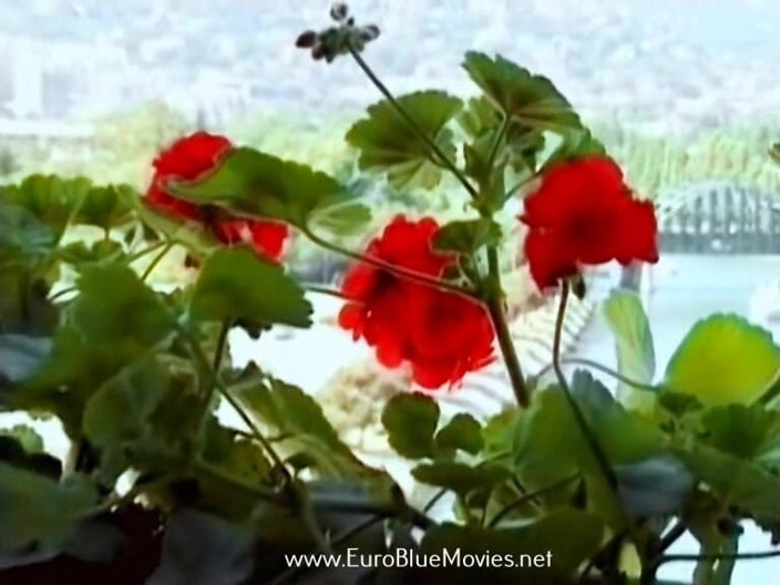 Euro Blue Movies: Clubul sandviș 1