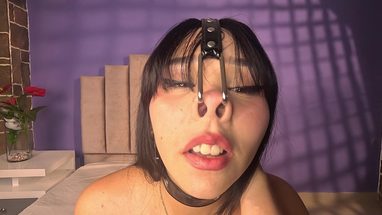 Angellkink: Гра з упряжками