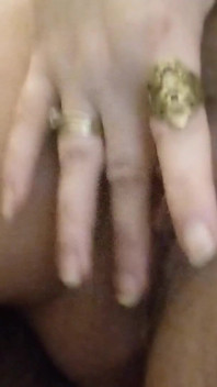 Teaser Pleaser