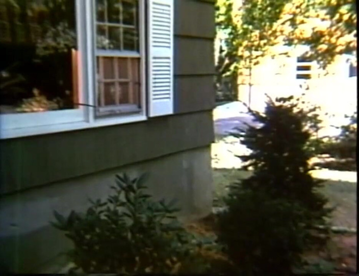 Vintage Usa: Truyền thuyết khiêu dâm - Usa 1969, the beginning - scene 18