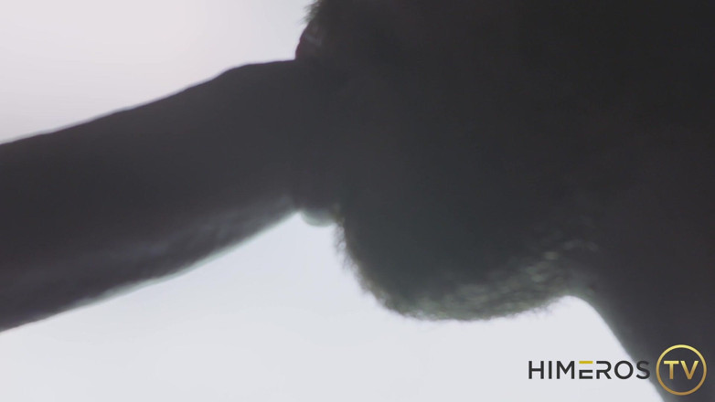 Himeros.tv: Toate, Rise