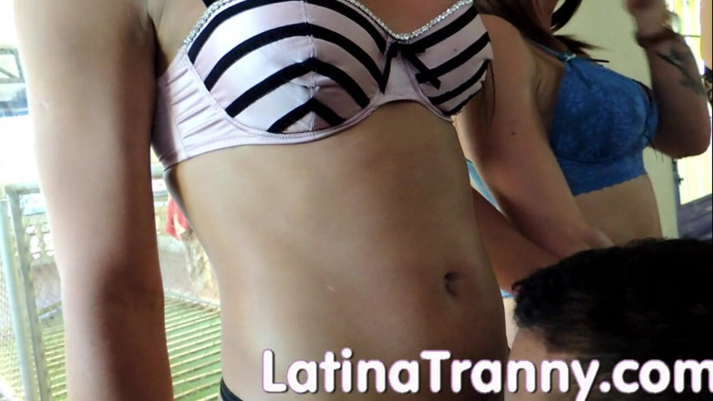 Nikki Montero: Esclavo dominado y obtiene el lechazo de 16 chicas T al...