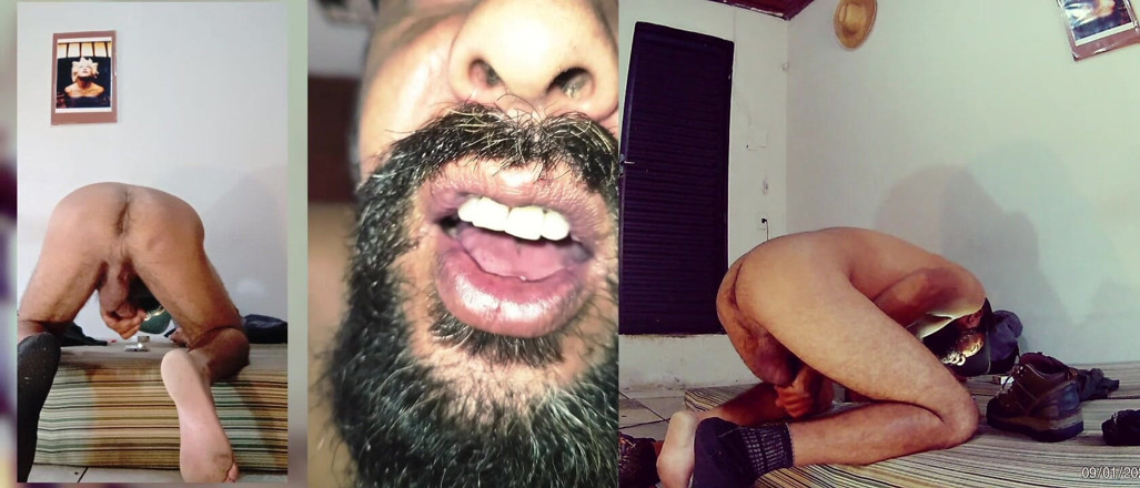 Stink HairyMale: Excitată duminică