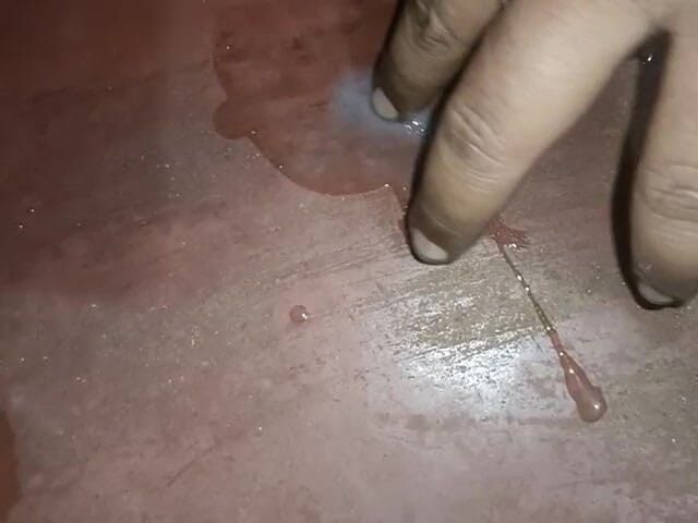 LegalVector8: नया Xvideo
