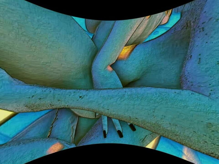 Futanari VR: Lustige Editionen 3