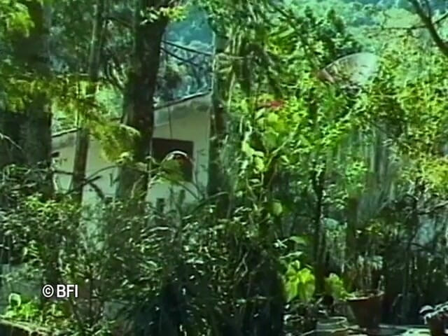 Ladyboy Paradise: Braziliaanse shemale
