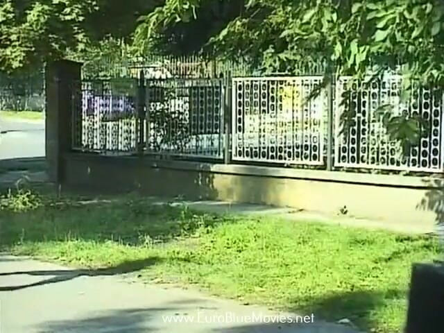 Euro Blue Movies: Teenievision 30 Excesele tatălui vitreg