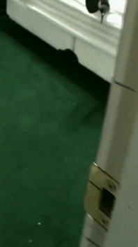 Gebiologeerd door mijn stiefmoeder met grote tieten