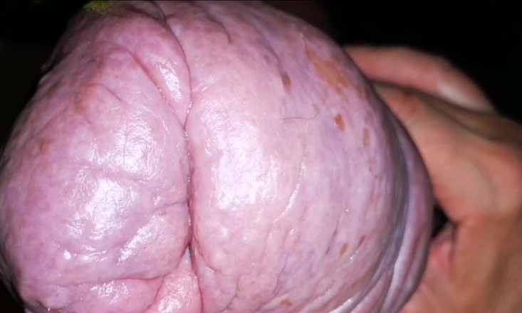 Monster_Meat_: Моя щоденна нижня білизна тут, відео