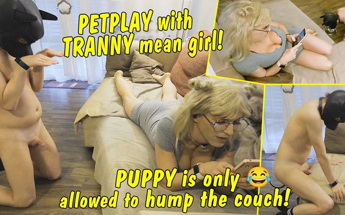 TV_Helena: Petplay z Tranny Mean Girl! Głupie zwierzę może tylko garbować...