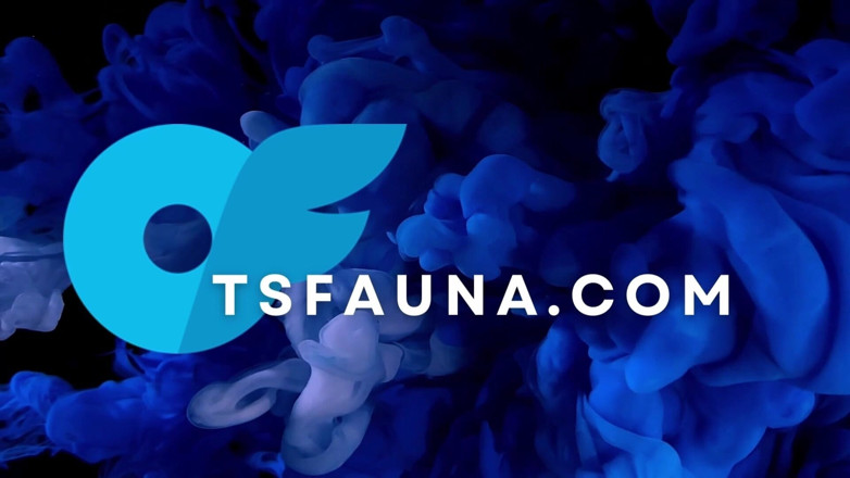 Cali Fauna: 变性人被一根11英寸的大黑屌假阳具慢慢地干