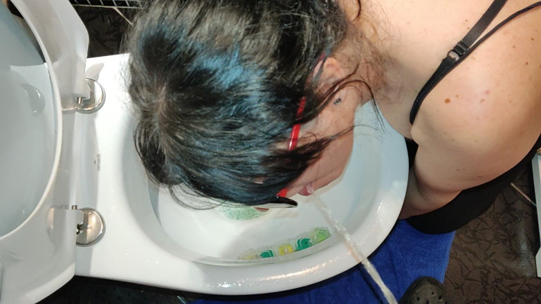 Toilet Mommy: How to properly clean the toilet bowl