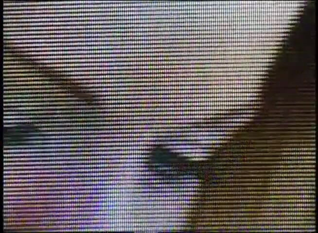 VOP Porno: Красуні з великими цицьками на облизування, пестощах пальцями та іграшках, на відкритому повітрі після кастингу