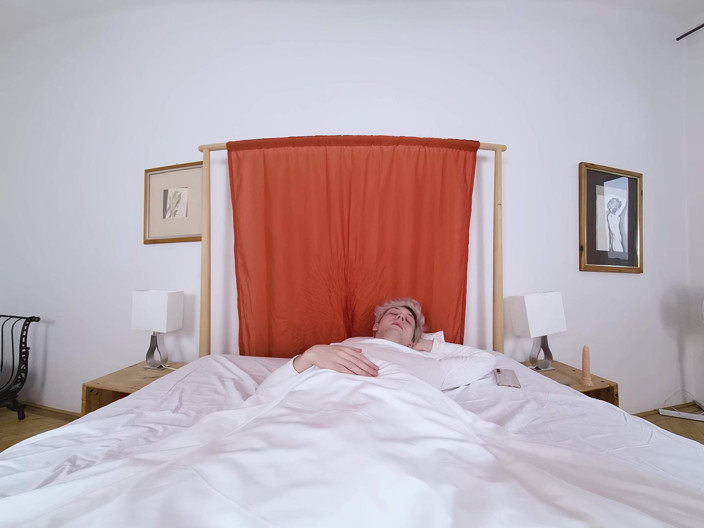 Virtual Real Gay: Hard Alarm